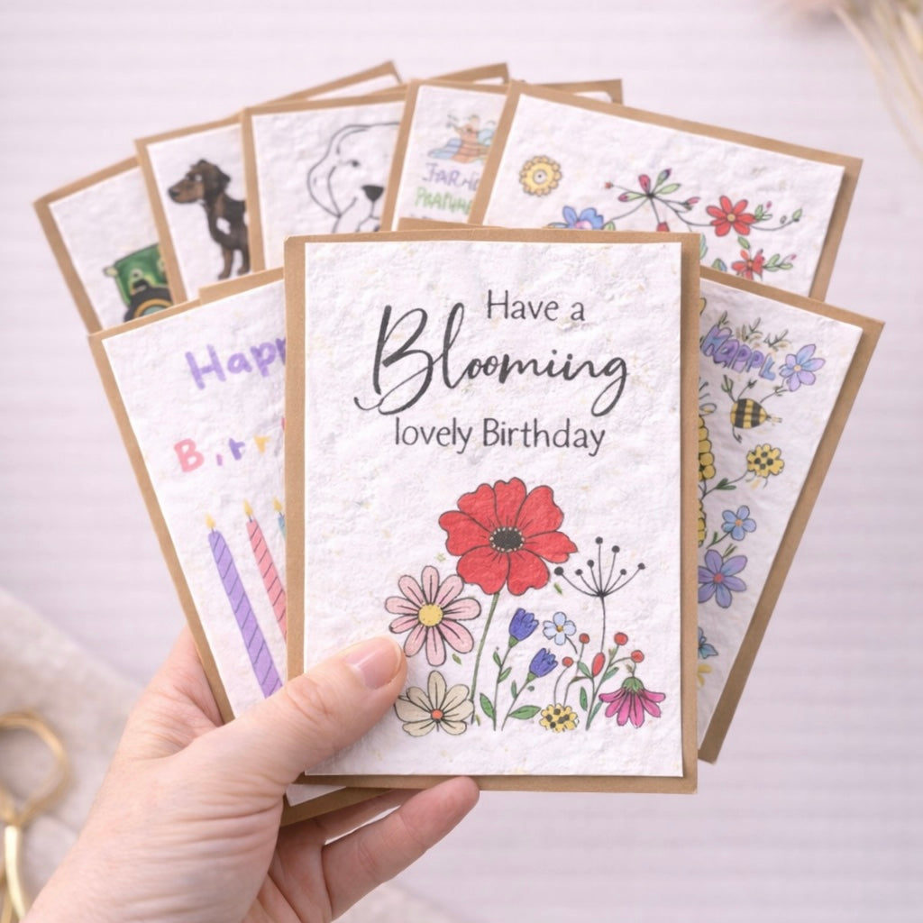 Birthday