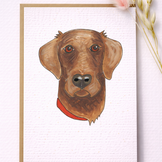 Seed Greeting Cards – Plantable Eco-Friendly Cards That Grow into Wildflowers, Fox Red Labrador