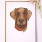 Seed Greeting Cards – Plantable Eco-Friendly Cards That Grow into Wildflowers, Fox Red Labrador