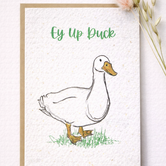 Seed Greeting Cards – Plantable Eco-Friendly Cards That Grow into Wildflowers, Ey Up Duck