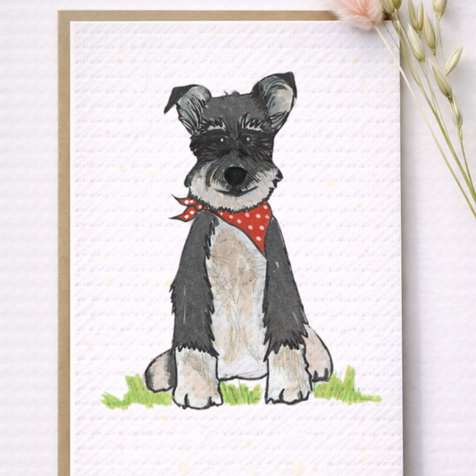 Seed Greeting Cards – Plantable Eco-Friendly Cards That Grow into Wildflowers, Kevin The Schnauzer