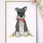 Seed Greeting Cards – Plantable Eco-Friendly Cards That Grow into Wildflowers, Kevin The Schnauzer